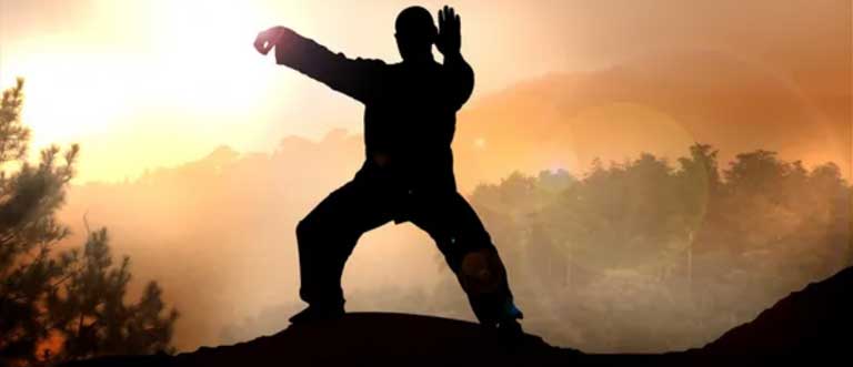 TAI CHI